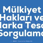 Mulkiyet Haklari Ve Marka Tescil Sorgulama