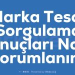 Marka Tescil Sorgulama Sonuclari Nasil Yorumlanir